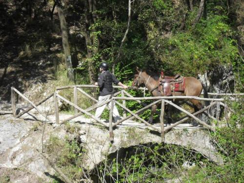 a man walking a horse over a wooden bridge at B&B Oliva in Scala