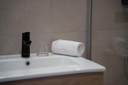 a bathroom sink with a roll of toilet paper on it at ho36 Les Menuires in Les Menuires