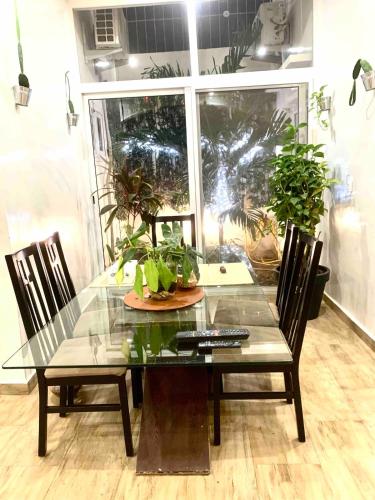 a glass dining room table with chairs and plants at Belle villa confortable avec gardien in Mbaw Gou Ndaw