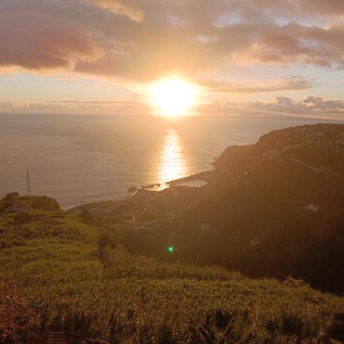 Afbeelding uit fotogalerij van Casa Bela Vista Studio 1 in Ribeira Brava