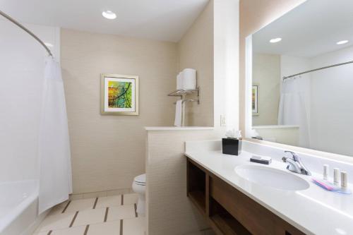 a bathroom with a sink and a toilet at Fairfield Inn & Suites by Marriott Fort Stockton in Fort Stockton