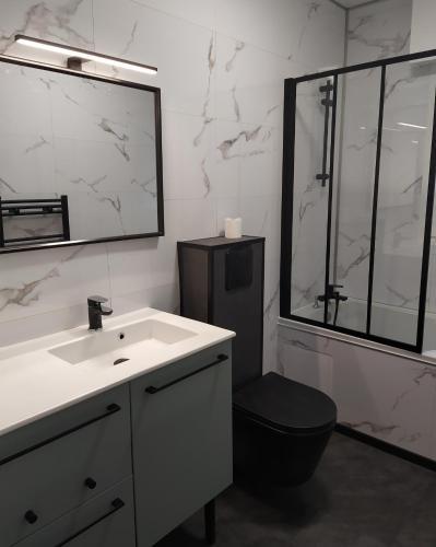 une salle de bain avec un lavabo, des toilettes et un miroir dans l'établissement Ty Cocoon- Appartement avec terrasse et parking privé, à Quimper
