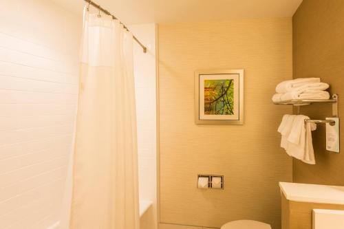 a bathroom with a shower with a white shower curtain at Fairfield Inn & Suites by Marriott Mobile Saraland in Saraland