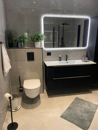 un bagno con un water, un lavandino e uno specchio di Ny leilighet med fantastisk sjøutsikt i Fredrikstad a Kråkerøy