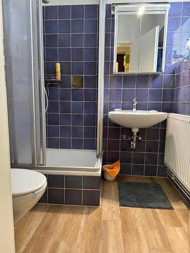 a blue tiled bathroom with a sink and a shower at Küsten Koje in Böhl