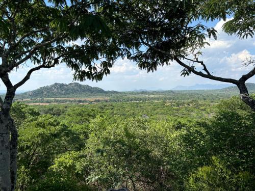 a view of a forest with mountains in the distance at Musangano Lodge in Odzi