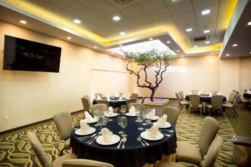 a conference room with tables and chairs and a tree at Four Points by Sheraton Queretaro Norte in Querétaro