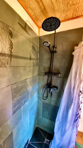 a shower in a room with a blue wall at Hostal Las Natalias in Futaleufú
