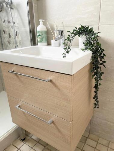 un lavabo de salle de bain avec une plante dessus dans l'établissement Apartment - Le Melies, à Villeurbanne