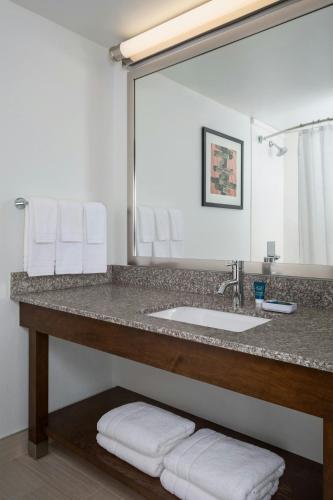a bathroom with a sink and a large mirror at Four Points by Sheraton Buffalo Grove in Buffalo Grove