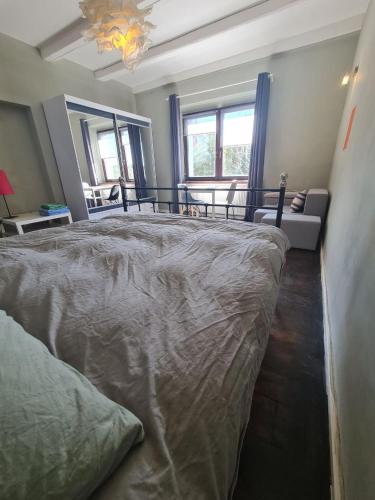 a large bed in a room with a couch and windows at Airport Private Apartment, Advance Registration, No Reception, Self Check-in, Calm Environment, Non-Smoking Guests in Kněžívka