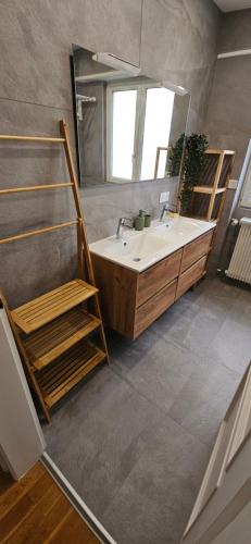 une salle de bain avec un lavabo et un miroir dans l'établissement Superbe logement refait à neuf 3 chambres et double parking, à Strasbourg