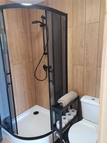 a bathroom with a shower and a toilet at Hortensja in Rusinowo