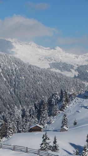 a snow covered hill with trees and a mountain at Camping Zögghof in San Leonardo in Passiria