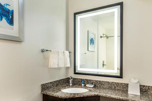 a bathroom with a sink and a mirror at Four Points by Sheraton Kalamazoo in Kalamazoo