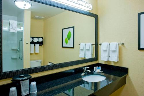 a bathroom with a sink and a large mirror at Fairfield Inn & Suites Columbus in Columbus