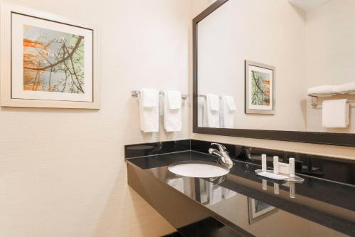 a bathroom with a sink and a large mirror at Fairfield Inn & Suites Tampa Fairgrounds/Casino in Tampa