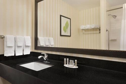 a bathroom with a sink and a large mirror at Fairfield Inn & Suites by Marriott Tupelo in Tupelo