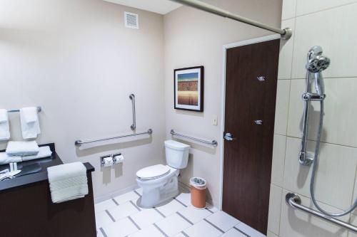 a bathroom with a toilet and a shower at Fairfield Inn and Suites by Marriott Natchitoches in Natchitoches
