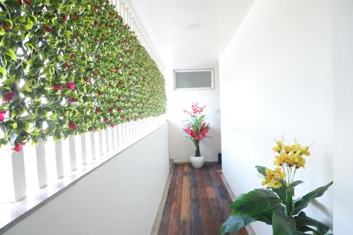 a stairway with a plant growing up the side of a staircase at Dnyanprabha Executive in Tuljapur