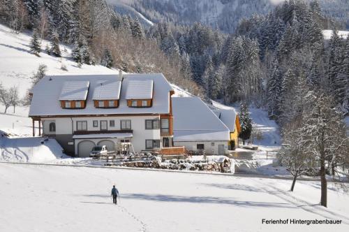 a person skiing in the snow in front of a house at Ferienhof Hintergrabenbauer in Spital am Pyhrn