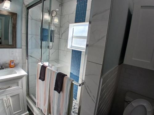 a bathroom with a shower with a glass door at Iguana Updated Home By Large Imperial River 1 Mi to Beach in Bonita Springs