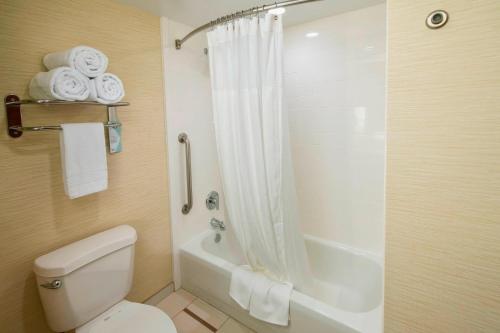 a bathroom with a shower and a toilet and a tub at Fairfield Inn & Suites by Marriott Greenville Simpsonville in Simpsonville