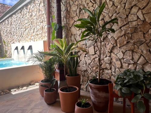 a group of potted plants sitting on a window sill at Central Park Luxurious Historical Home With Pool in Granada