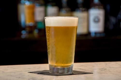 a glass of beer sitting on a table at Four Points by Sheraton Boston Newton in Newton