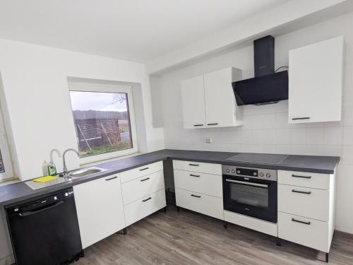 Kuchyň nebo kuchyňský kout v ubytování W6 - Gemütliche Wohnung in Lichtenhain