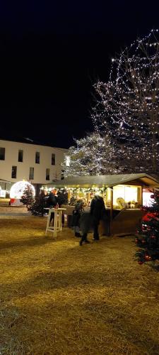 a person walking under a tent in a yard at night at Marlingsuites - Vinea - Wieser Josef - Marling in Marlengo