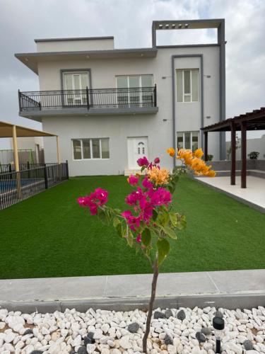 a flower in a pot in front of a house at شالية واحة الهدوء راس الحد in Al Ḩadd