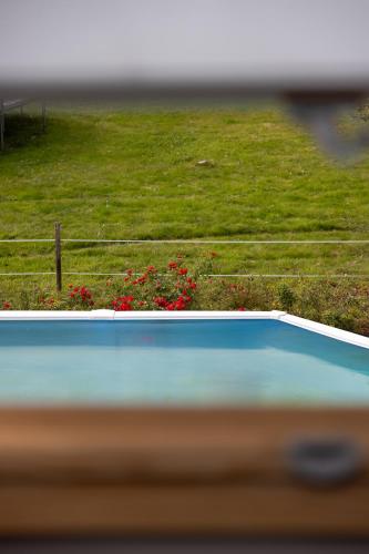 un court de tennis en face d'un champ de fleurs rouges dans l'établissement Ferme de Marpalu, à La Ferté-Saint-Cyr