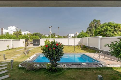 a small swimming pool with a plant in the yard at JhilMil Pool Villa by StayJadeParty VillaLawn in Hosūr