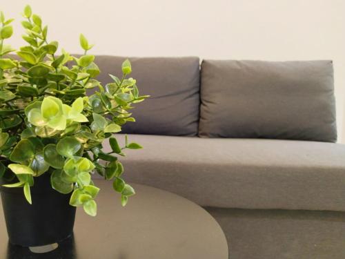 a vase on a table next to a couch at APT at G-207 in SMDC Cheer Residences in Marilao