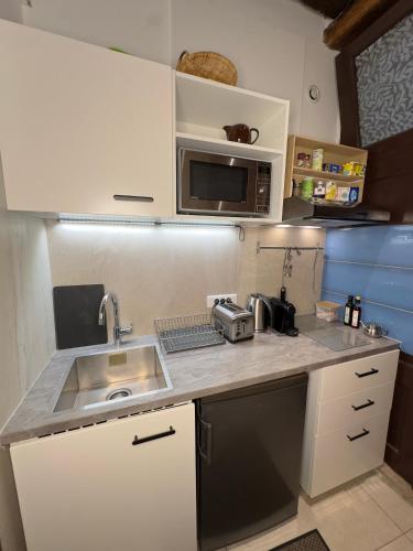 une petite cuisine avec un évier et un micro-ondes dans l'établissement Charles V Flat Ground Floor, à Paris
