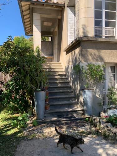 Appartement Les Acanthes 2ch Poitiers centre