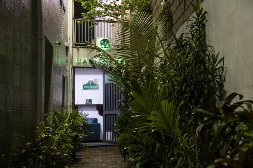 an alley with plants in front of a building at The Park House in Male City