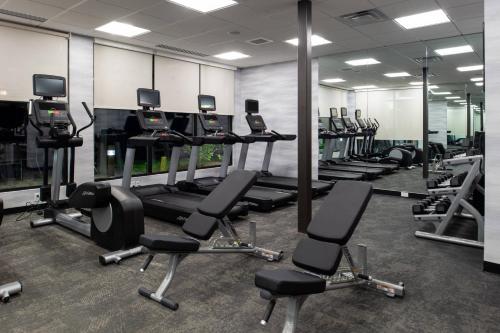 a gym with rows of treadmills and elliptical machines at Fairfield Inn & Suites by Marriott Canton in Canton