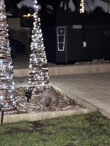 a christmas tree in the middle of a street at Öregvíz Vendégház in Szentendre