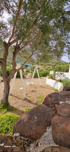 Taman di luar Agriturismo Sa Conca Ruia