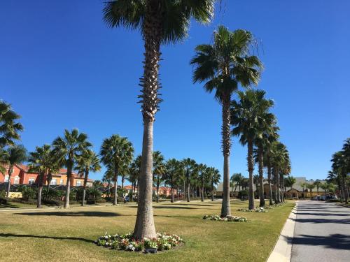 a row of palm trees and flowers in a park at DWS Vacation Villas in Orlando