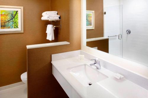 a bathroom with a sink and a mirror and a toilet at Fairfield by Marriott Inn & Suites Wheeling at The Highlands in Triadelphia