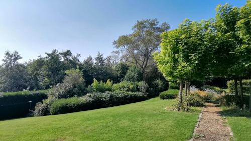 a garden with a green lawn and trees and bushes at B&B Lili's Tuin in Horebeke