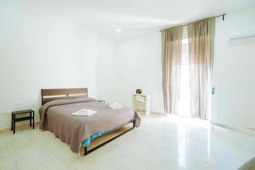 Santo 310