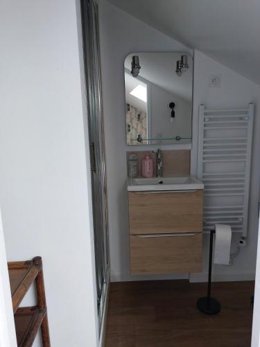 une salle de bain avec un lavabo et un miroir dans l'établissement Sous les toits - Wi-Fi - TV, à Dijon