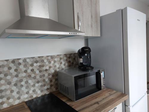 - un four micro-ondes installé au-dessus d'un comptoir dans la cuisine dans l'établissement Sous les toits - Wi-Fi - TV, à Dijon