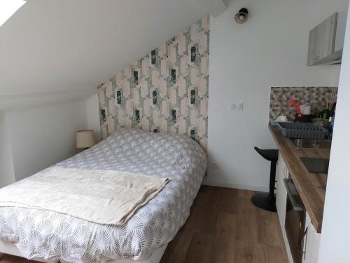 Sous les toits - Wi-Fi - TV - climatisation