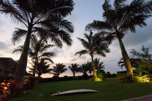 a person laying on a surfboard in a park with palm trees at Hotel Kundalini in Montañita