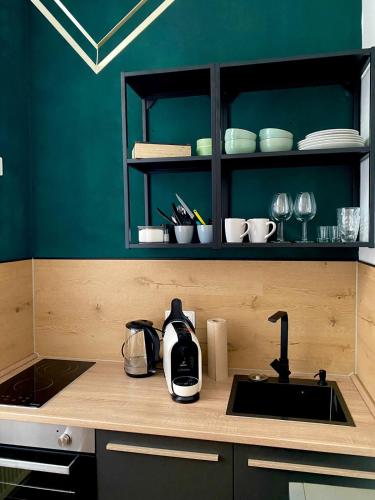 a kitchen with a sink and a counter top at Gemütliches Apartment am Rhein 2 in Koblenz